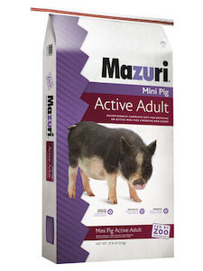 2019_-Mazuri-Active-Adult-Mini-Pig_2894143_9901_727613014568_25lb_Bag_3D