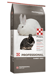 Product_Rabbit_Professional