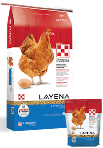 Products_Flock_Purina-Layena-Layer-Pellets-50-10-Combo