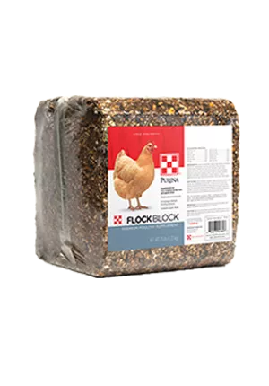 Flock_block_25lb_front_1