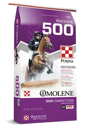 Horse_Omolene500
