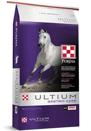 Horse_PurinaUltiumGastricCare