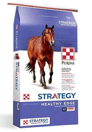 Product_Horse_Strategy_Healthy_Edge_2019