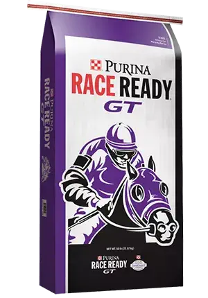 Products_Horse_Race-Ready-GT