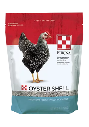 oyster_shell_5lb_front