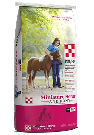 Miniature-Horse-Pony-Package_rs_1