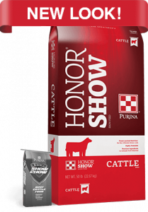 2019_AN_Purina-Honor-Show_-Cattle