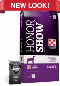 2019_AN_Purina-Honor-Show_-Lamb