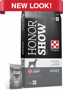 2019_AN_Purina-Honor-Show_Goat