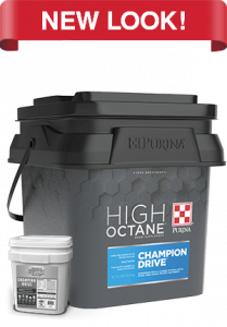 Champion-Drive_Right