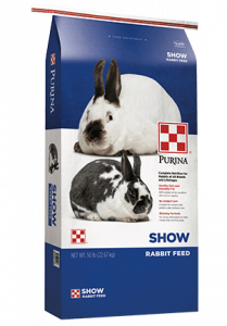 Product_Rabbit_Show
